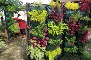 Punya Kebun Cantik Tidak Perlu Tempat yang Luas Berkat Vertical Garden!
